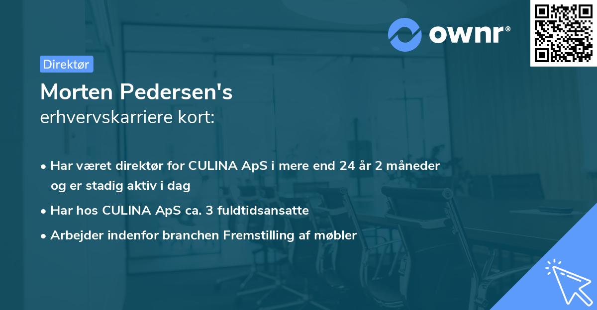 Morten Pedersen's erhvervskarriere kort