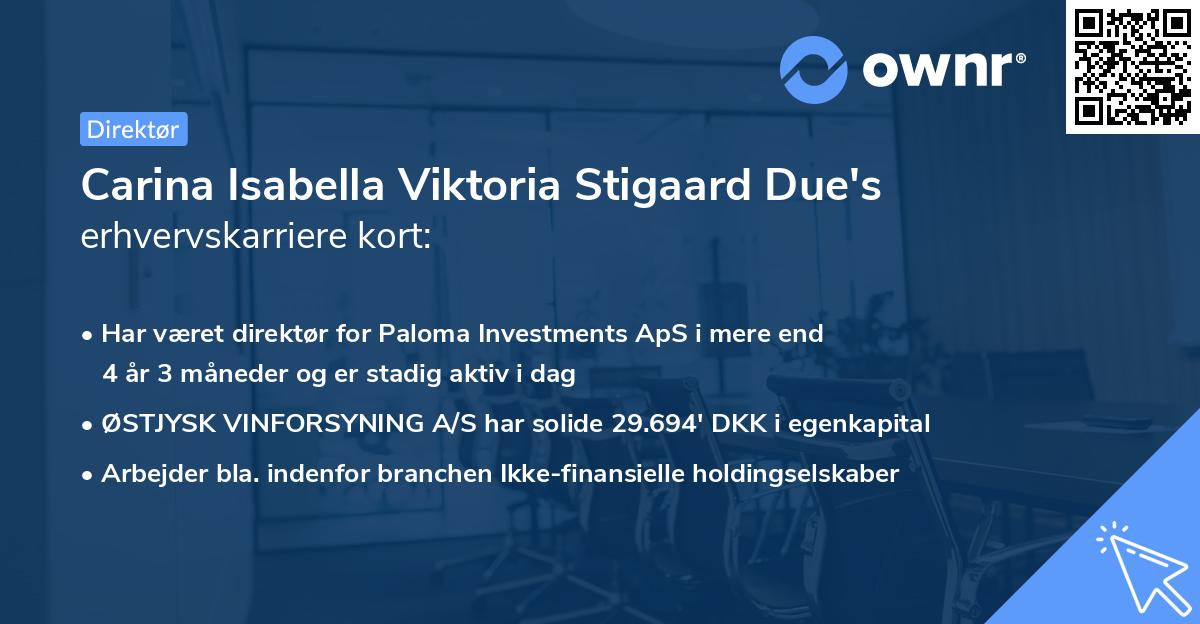 Carina Isabella Viktoria Stigaard Due's erhvervskarriere kort