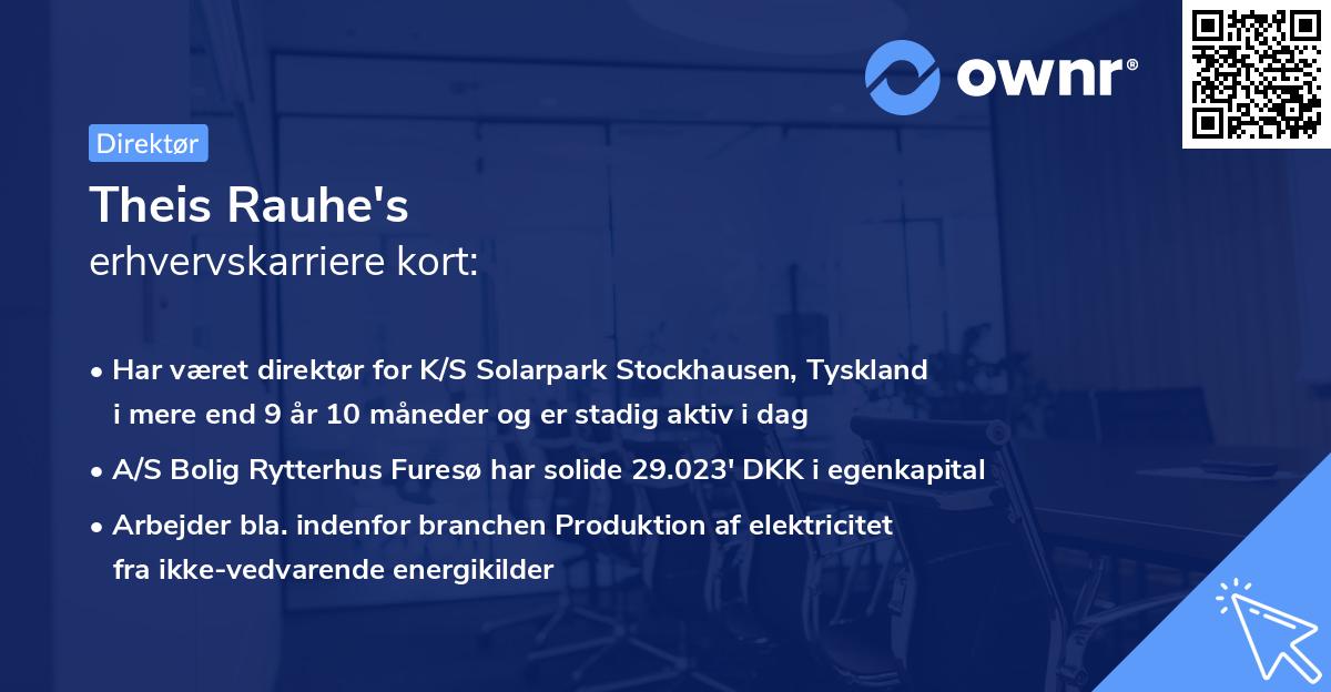 Theis Rauhe's erhvervskarriere kort