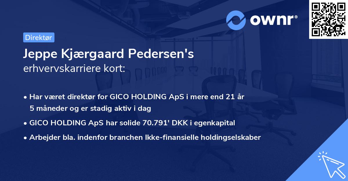 Jeppe Kjærgaard Pedersen's erhvervskarriere kort