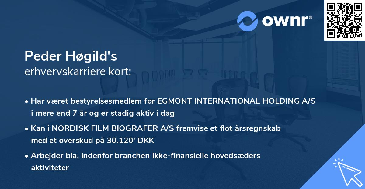 Peder Høgild's erhvervskarriere kort