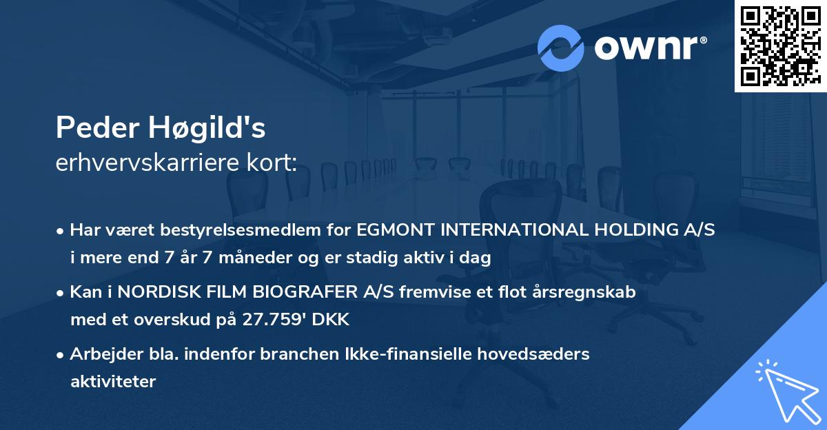 Peder Høgild's erhvervskarriere kort