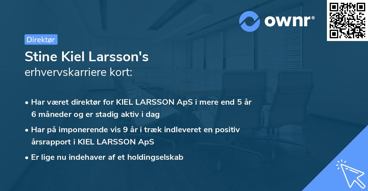 Stine Kiel Larsson's erhvervskarriere kort