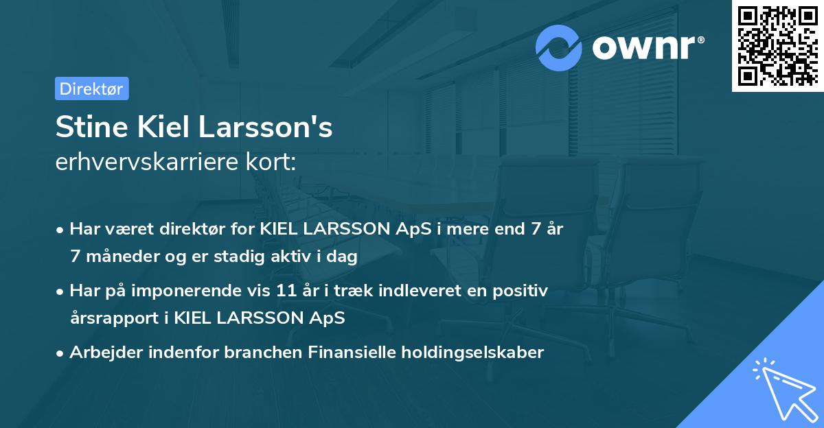 Stine Kiel Larsson's erhvervskarriere kort