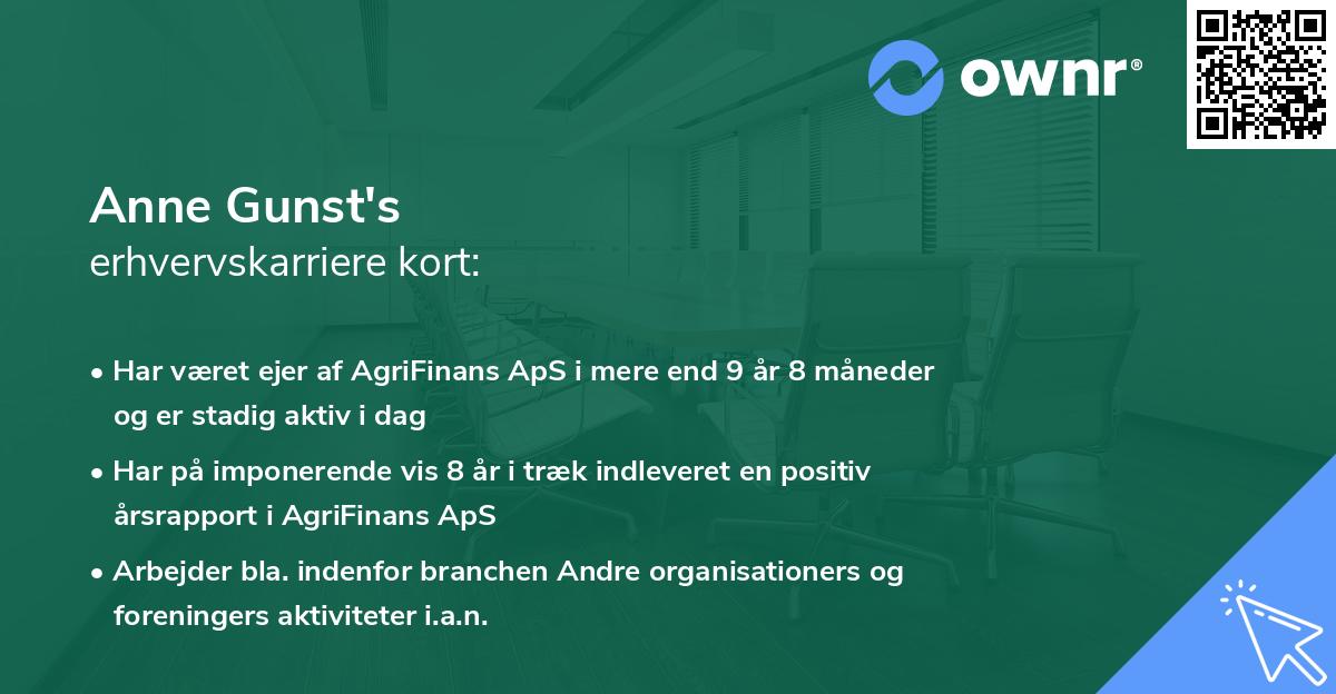 Anne Gunst's erhvervskarriere kort