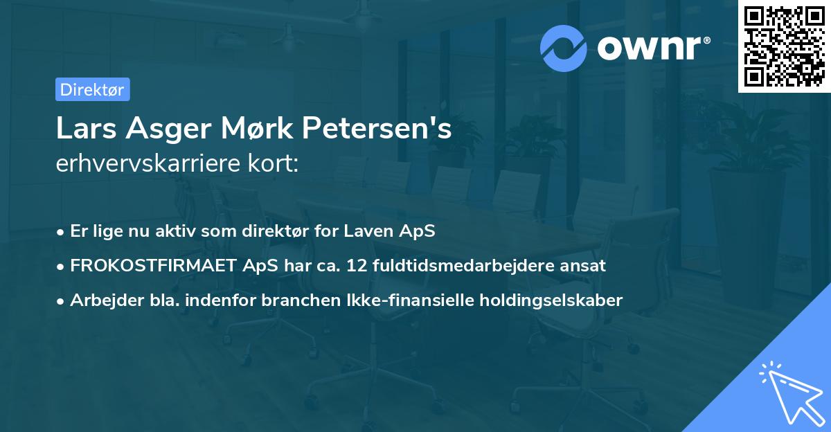 Lars Asger Mørk Petersen's erhvervskarriere kort