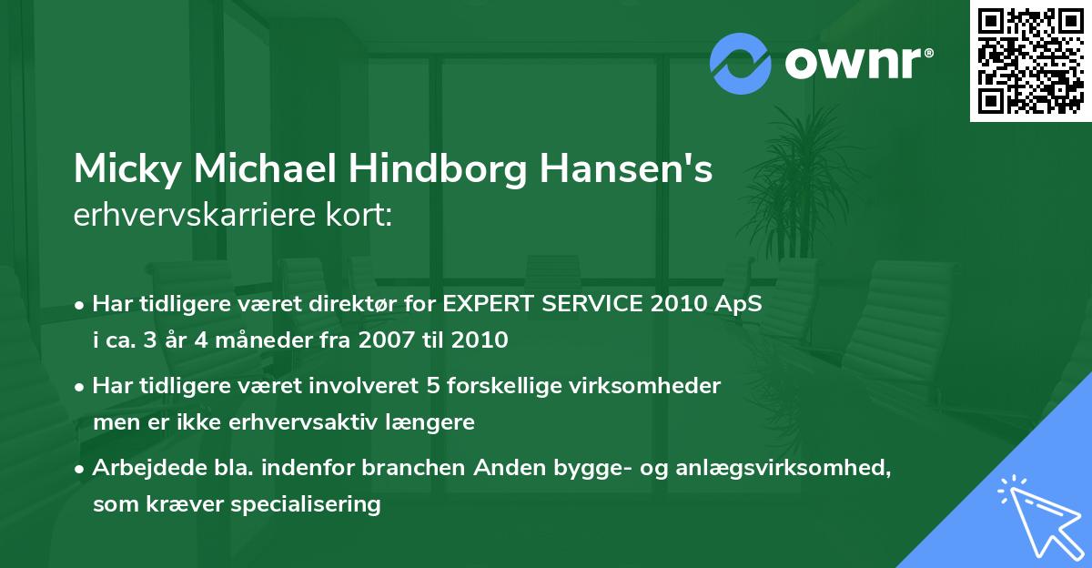 Micky Michael Hindborg Hansen's erhvervskarriere kort