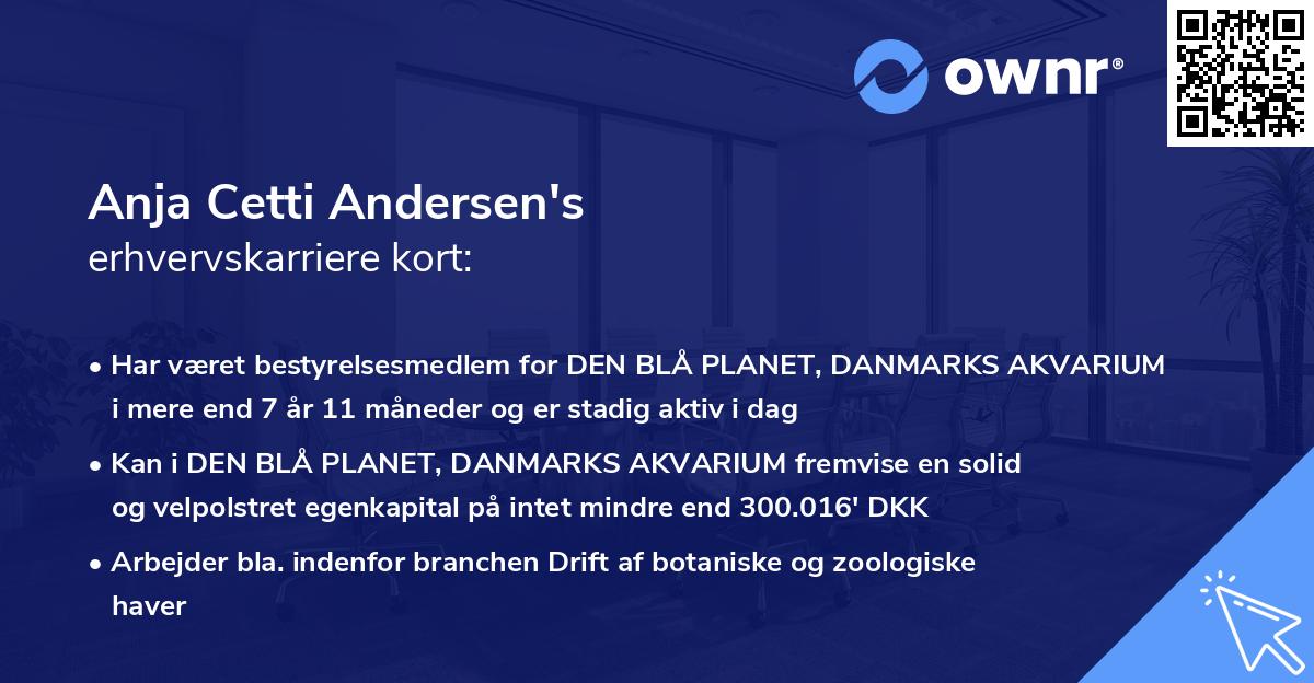 Anja Cetti Andersen's erhvervskarriere kort