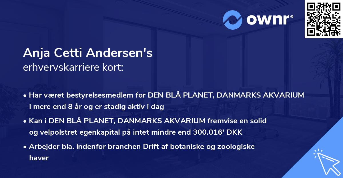 Anja Cetti Andersen's erhvervskarriere kort