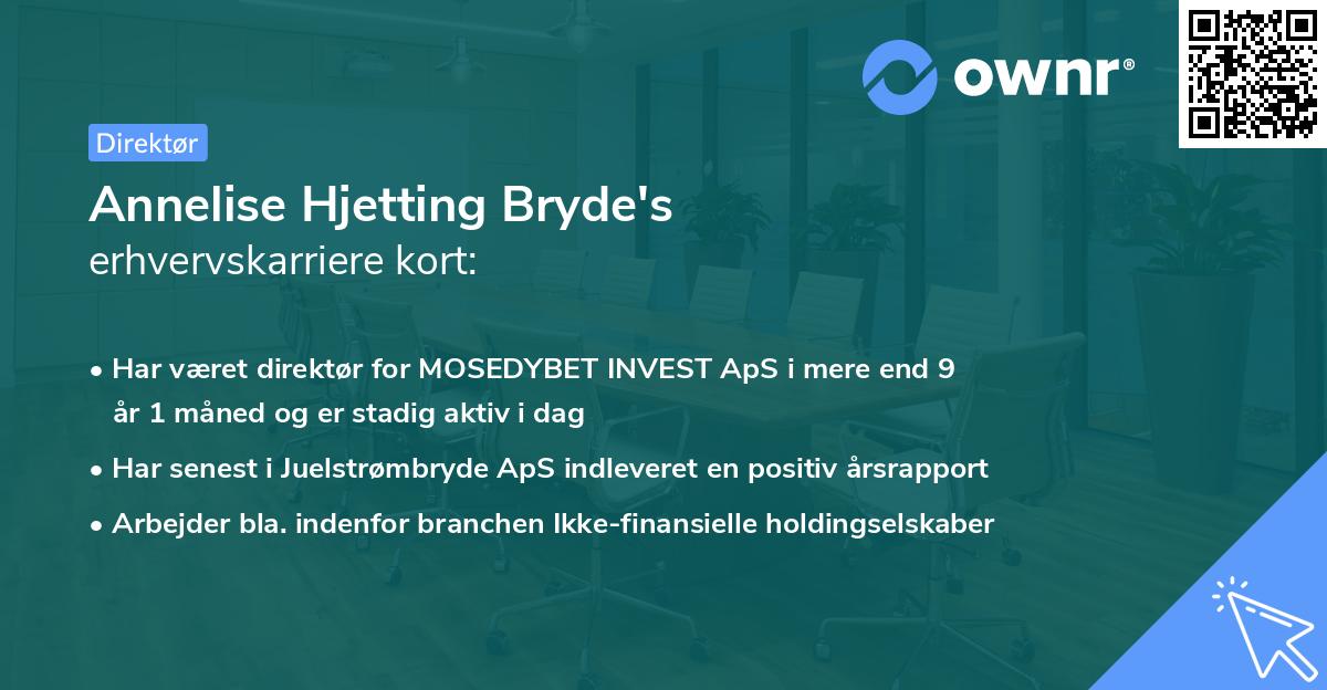 Annelise Hjetting Bryde's erhvervskarriere kort