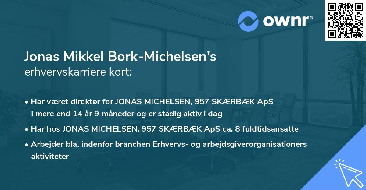 Jonas Mikkel Bork-Michelsen's erhvervskarriere kort