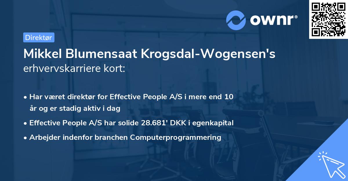 Mikkel Blumensaat Krogsdal-Wogensen's erhvervskarriere kort