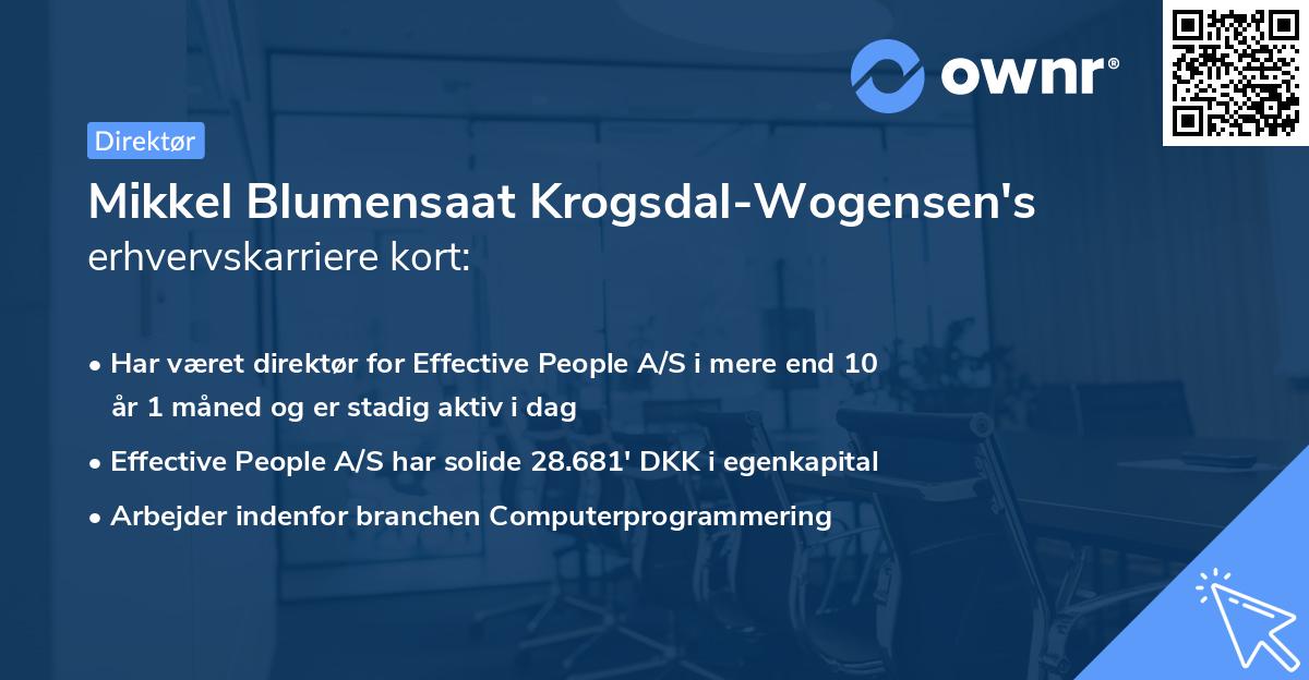 Mikkel Blumensaat Krogsdal-Wogensen's erhvervskarriere kort