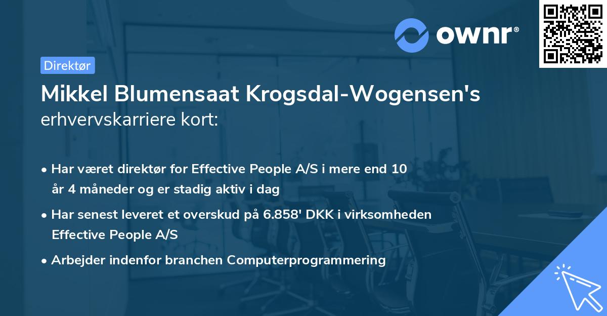 Mikkel Blumensaat Krogsdal-Wogensen's erhvervskarriere kort