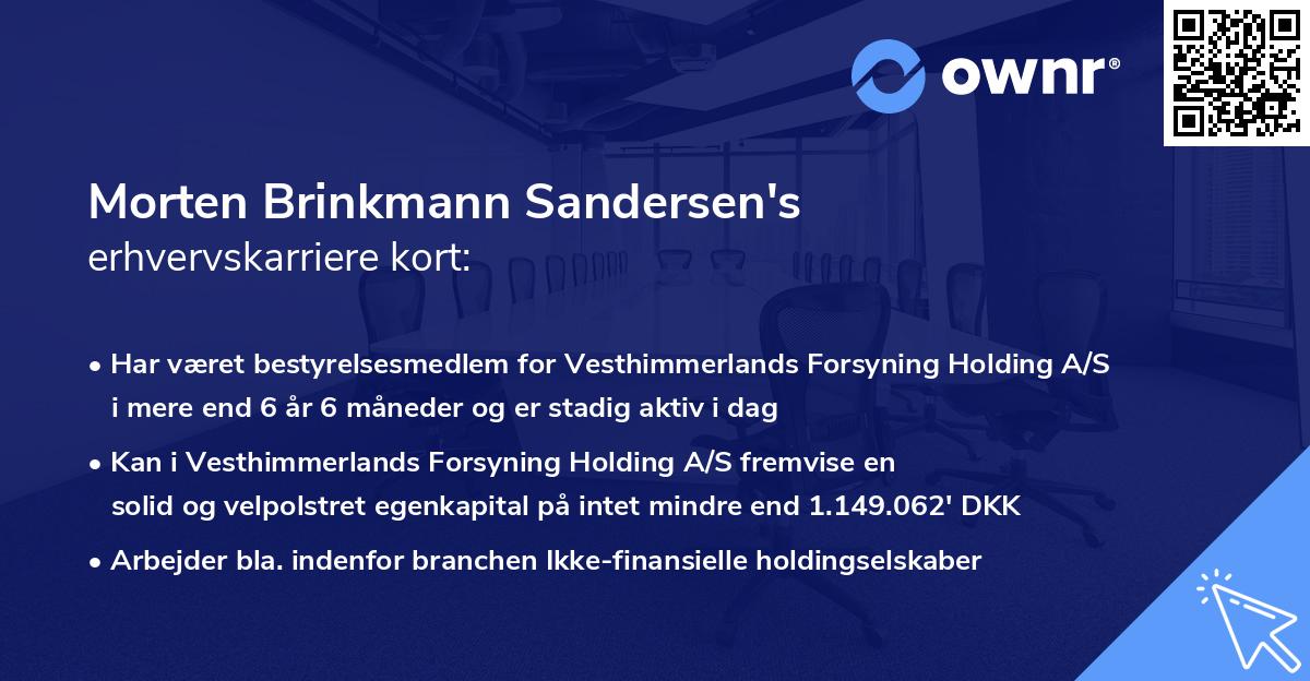 Morten Brinkmann Sandersen's erhvervskarriere kort