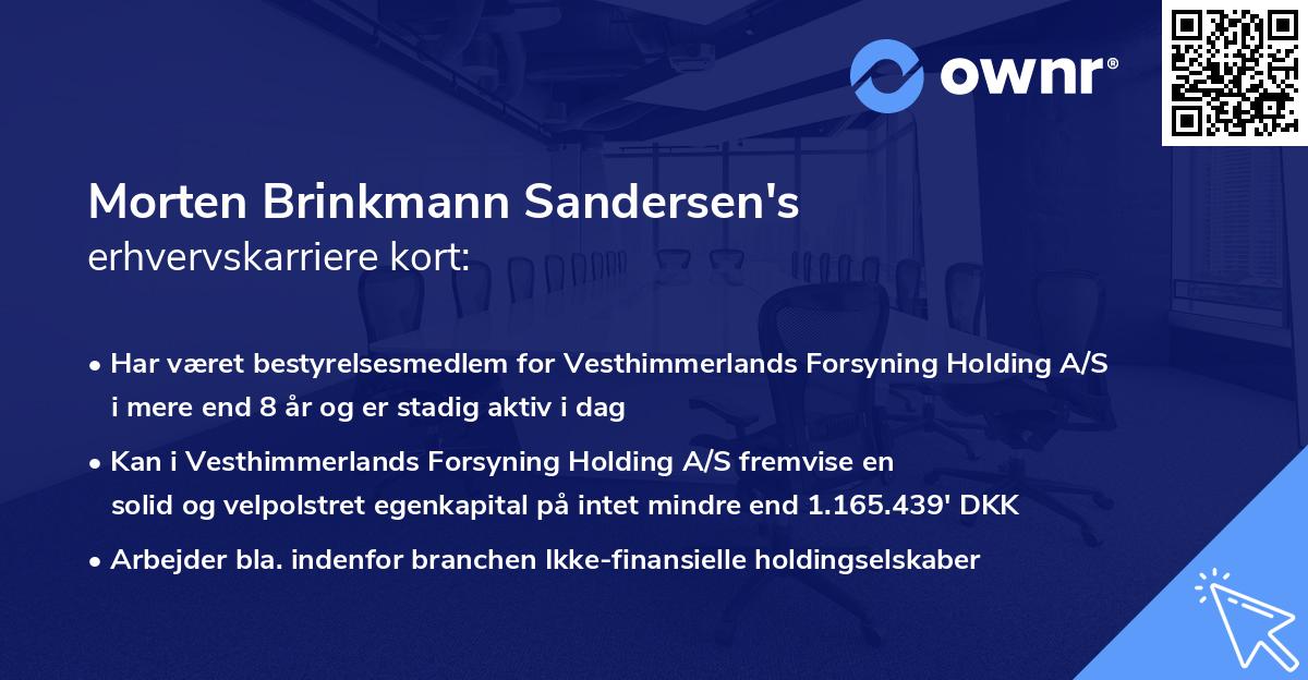 Morten Brinkmann Sandersen's erhvervskarriere kort