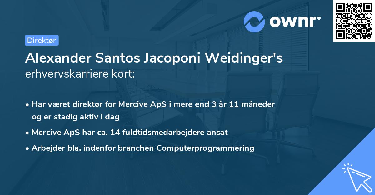 Alexander Santos Jacoponi Weidinger's erhvervskarriere kort