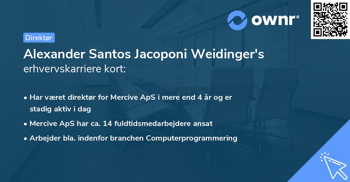 Alexander Santos Jacoponi Weidinger's erhvervskarriere kort
