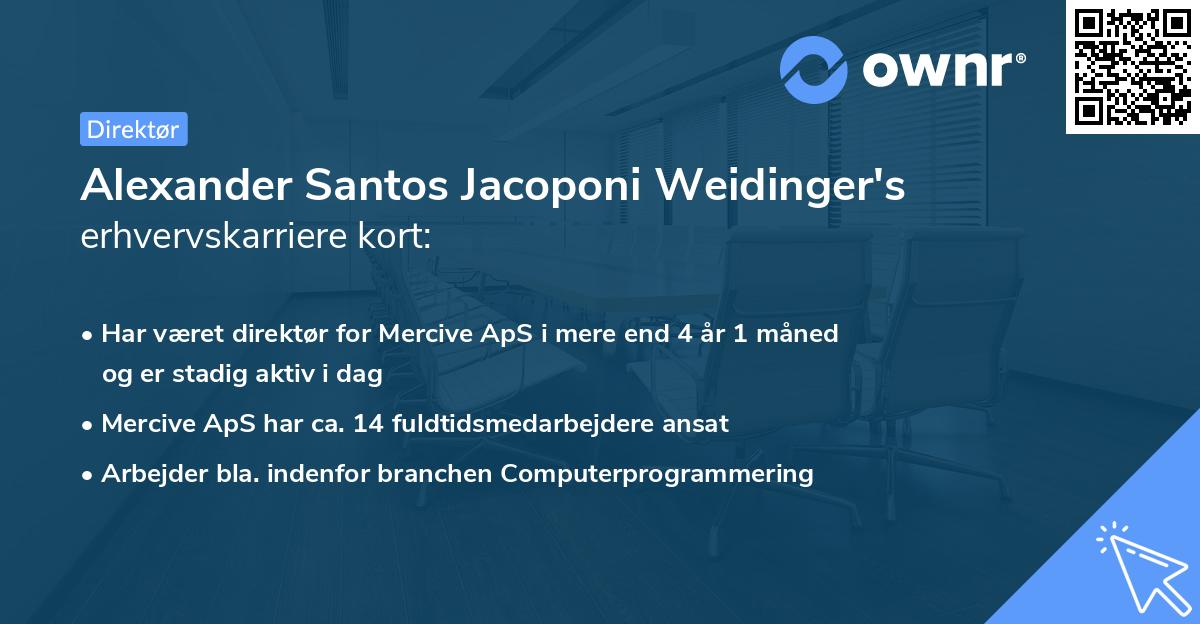 Alexander Santos Jacoponi Weidinger's erhvervskarriere kort
