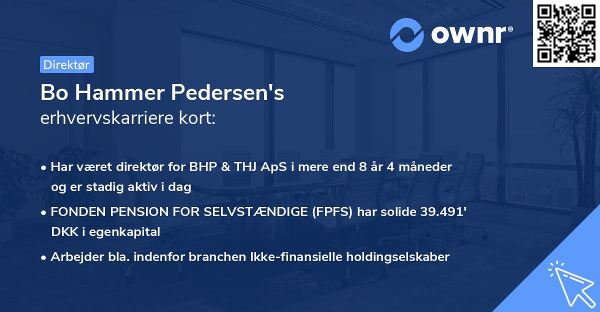 Bo Hammer Pedersen's erhvervskarriere kort
