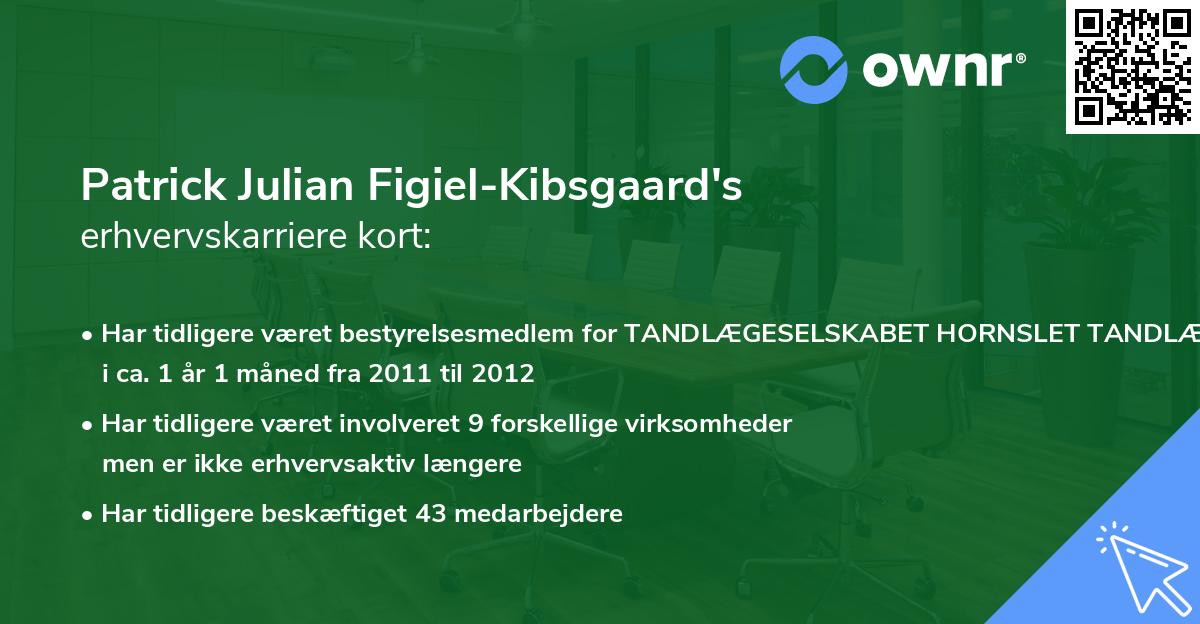 Patrick Julian Figiel-Kibsgaard's erhvervskarriere kort