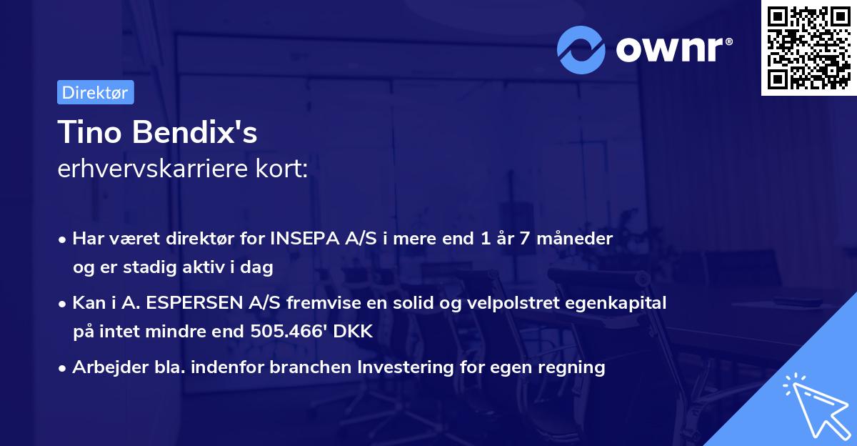 Tino Bendix's erhvervskarriere kort