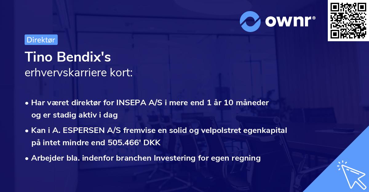 Tino Bendix's erhvervskarriere kort
