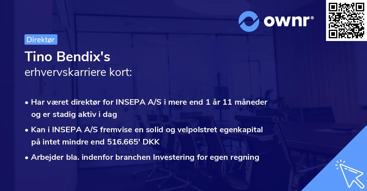 Tino Bendix's erhvervskarriere kort
