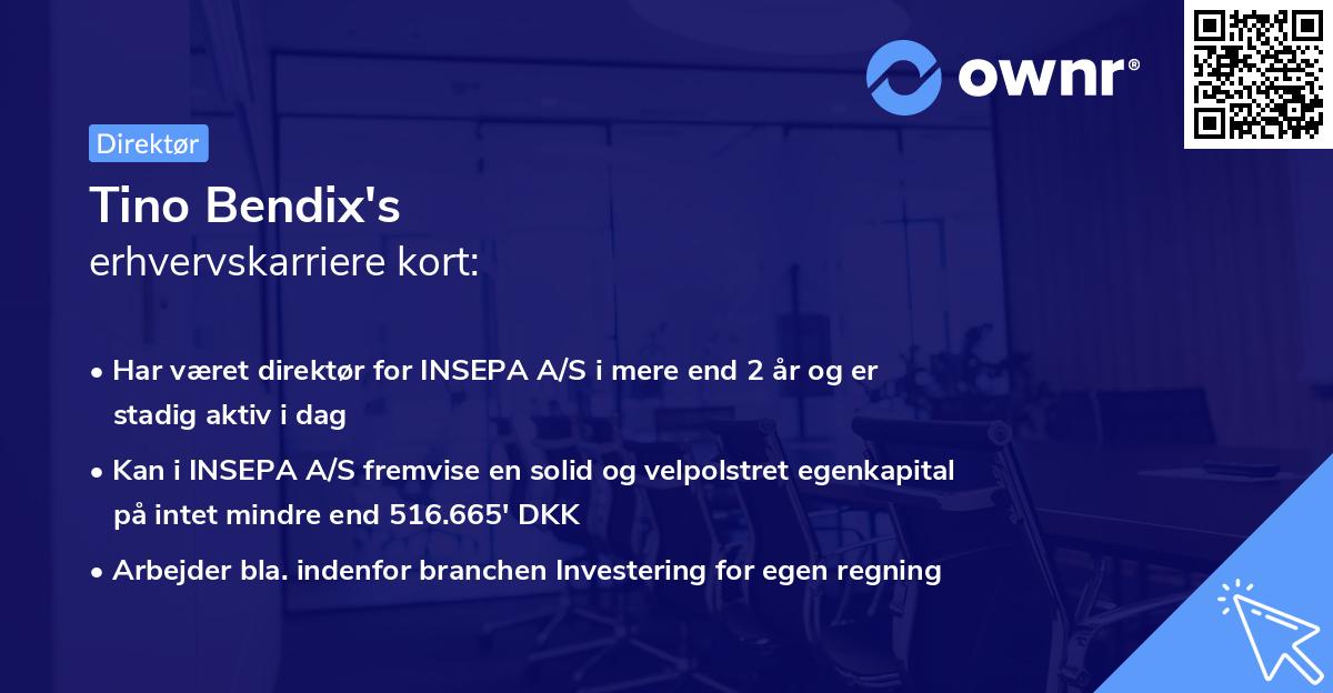 Tino Bendix's erhvervskarriere kort