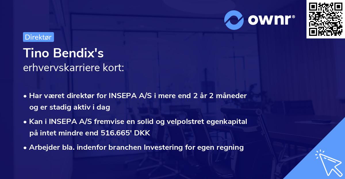 Tino Bendix's erhvervskarriere kort