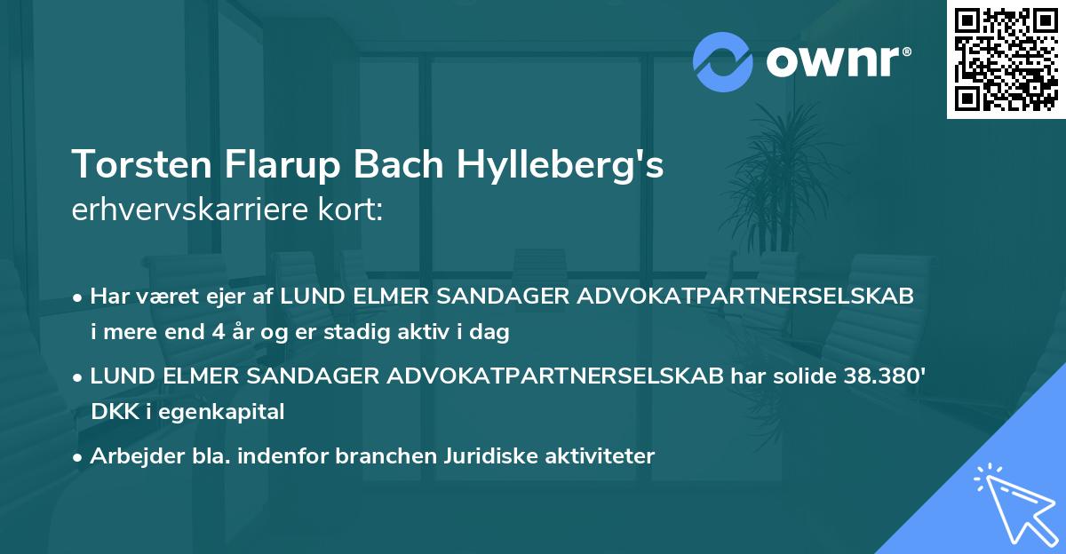 Torsten Flarup Bach Hylleberg's erhvervskarriere kort