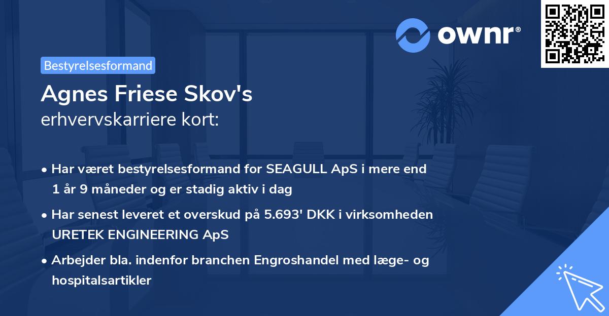 Agnes Friese Skov's erhvervskarriere kort