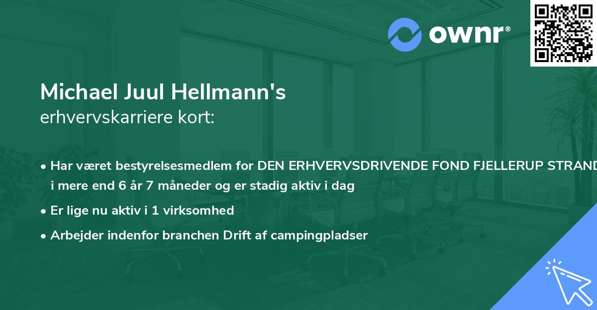 Michael Juul Hellmann's erhvervskarriere kort