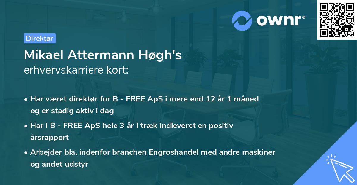 Mikael Attermann Høgh's erhvervskarriere kort