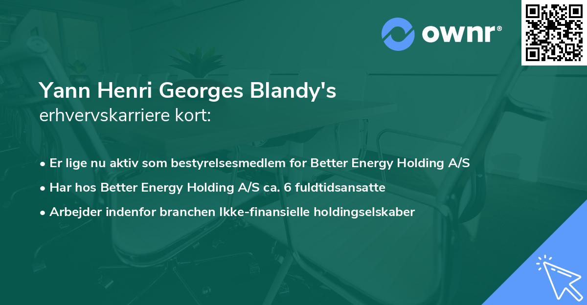 Yann Henri Georges Blandy's erhvervskarriere kort