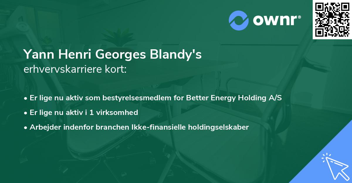 Yann Henri Georges Blandy's erhvervskarriere kort