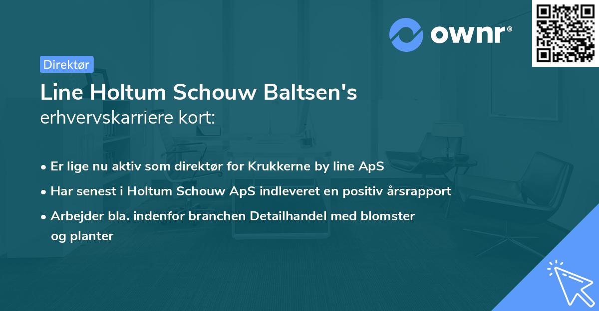 Line Holtum Schouw Baltsen's erhvervskarriere kort