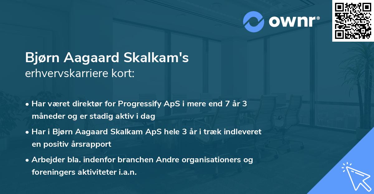 Bjørn Aagaard Skalkam's erhvervskarriere kort