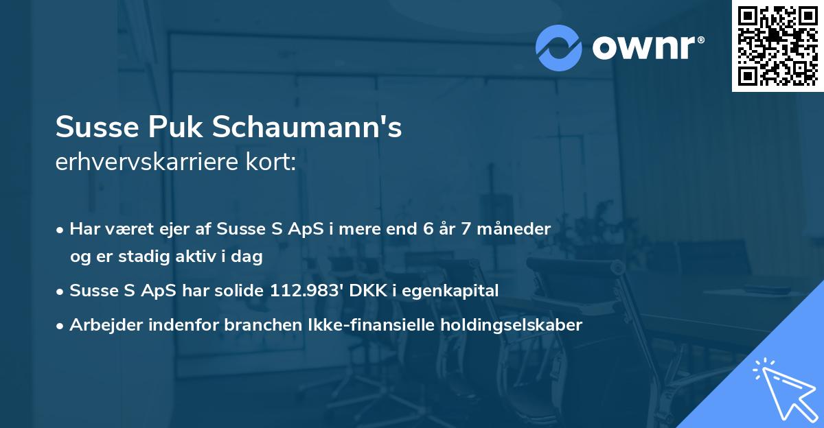 Susse Puk Schaumann's erhvervskarriere kort