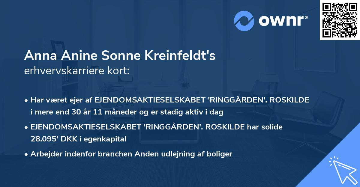 Anna Anine Sonne Kreinfeldt's erhvervskarriere kort