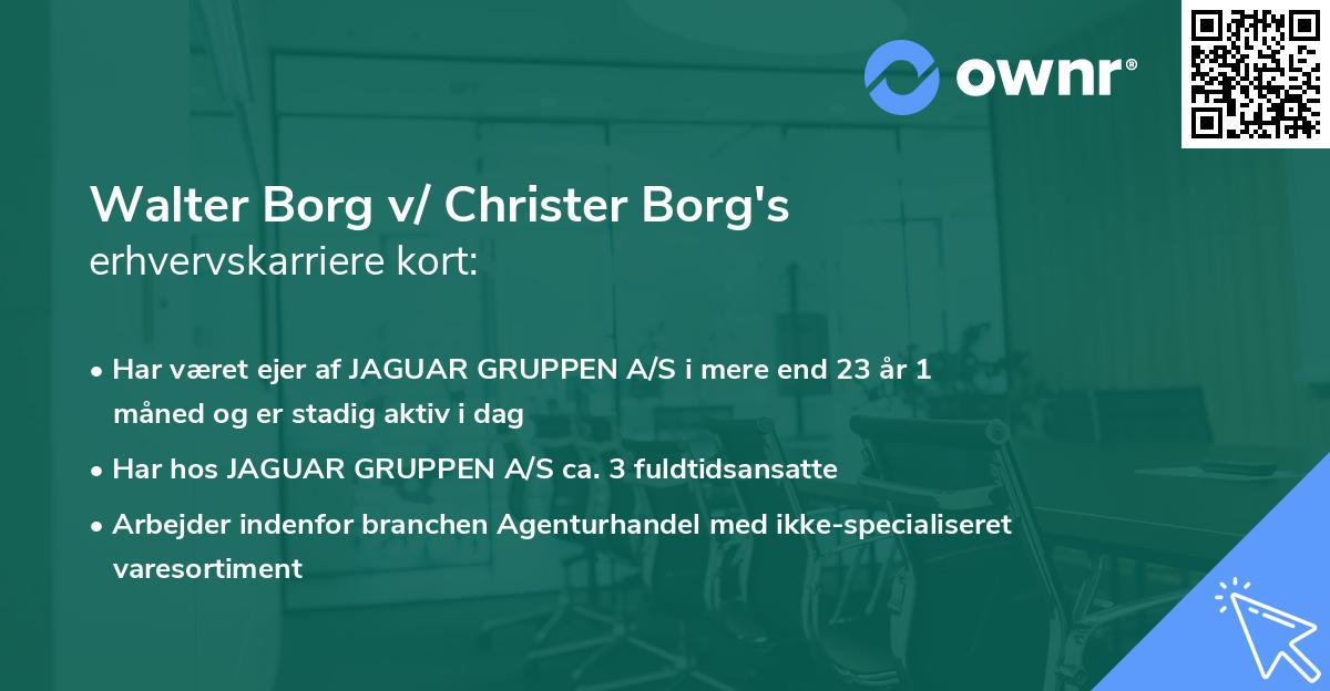 Walter Borg v/ Christer Borg's erhvervskarriere kort