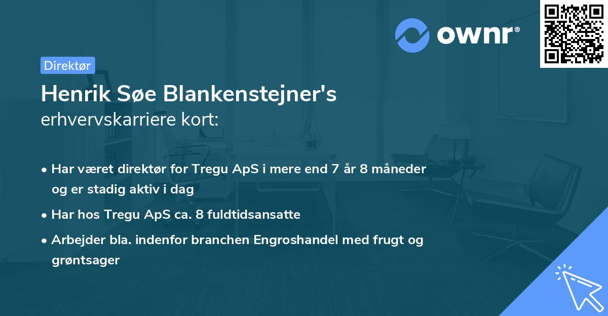 Henrik Søe Blankenstejner's erhvervskarriere kort