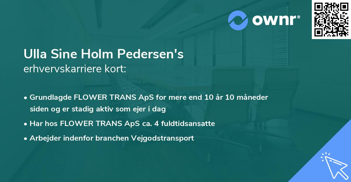 Ulla Sine Holm Pedersen's erhvervskarriere kort