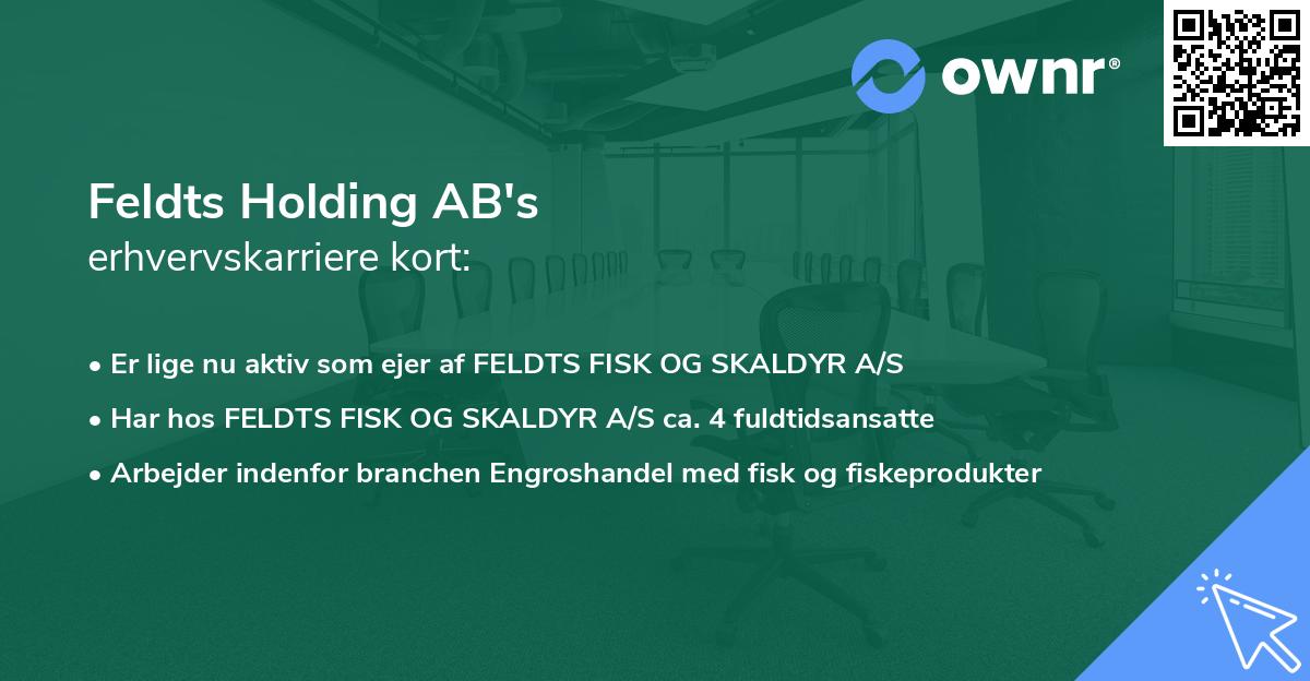 Feldts Holding AB's erhvervskarriere kort