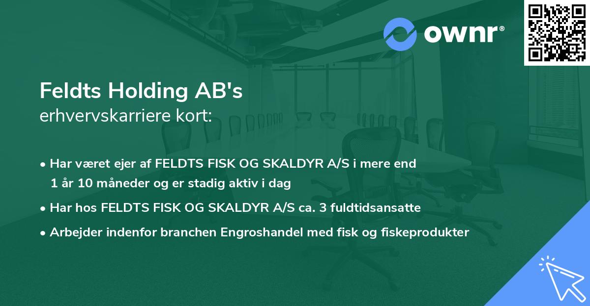 Feldts Holding AB's erhvervskarriere kort