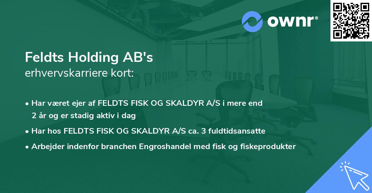 Feldts Holding AB's erhvervskarriere kort