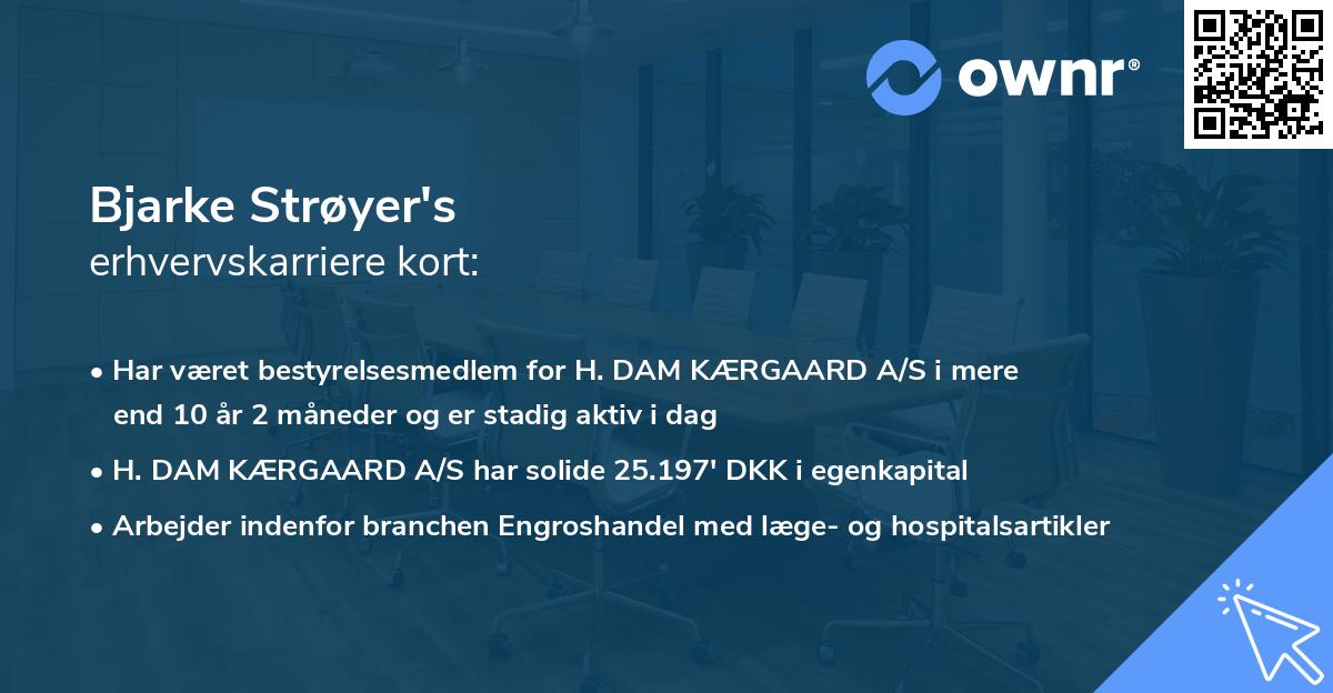 Bjarke Strøyer's erhvervskarriere kort