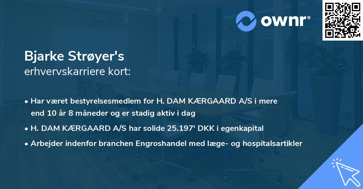 Bjarke Strøyer's erhvervskarriere kort