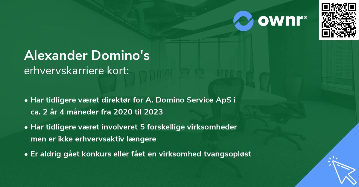 Alexander Domino's erhvervskarriere kort