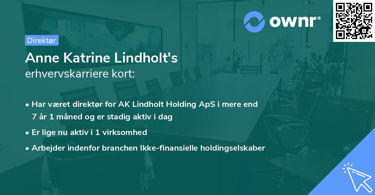 Anne Katrine Lindholt's erhvervskarriere kort
